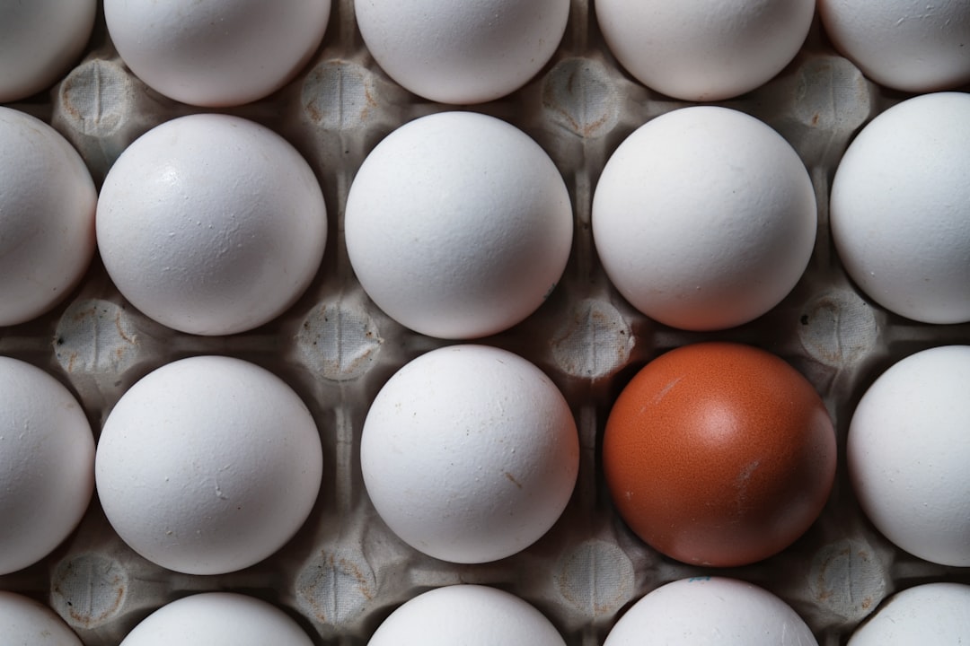 Salată roșii pepene